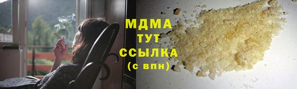 прущие грибы Вязьма