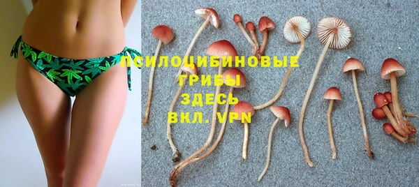 mdpv Новозыбков
