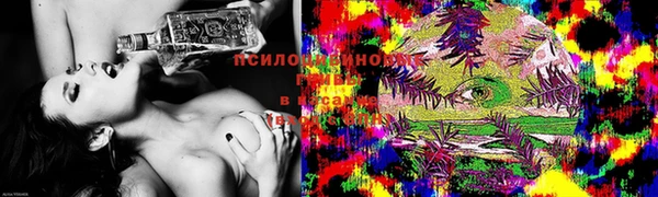 ГАЛЛЮЦИНОГЕННЫЕ ГРИБЫ Беслан