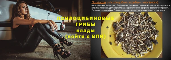 метадон Новодвинск