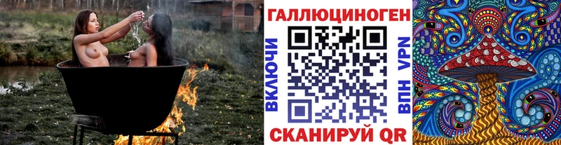 гидра вход  Кудрово  Галлюциногенные грибы мухоморы 