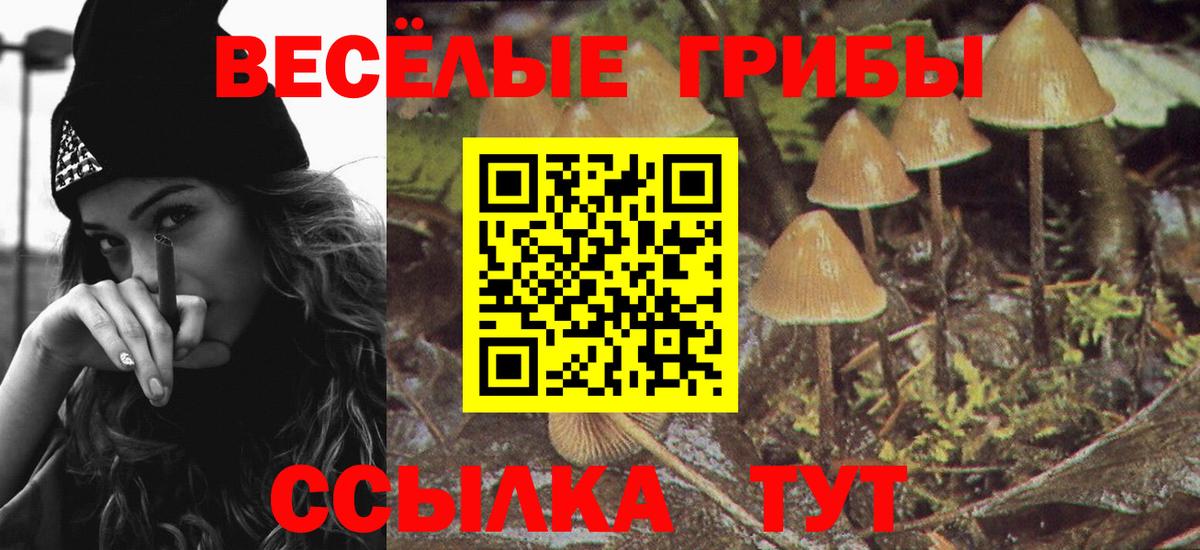 Кудрово  Галлюциногенные грибы MAGIC MUSHROOMS  Псилоцибиновые грибы MAGIC MUSHROOMS  Вход с VPN 